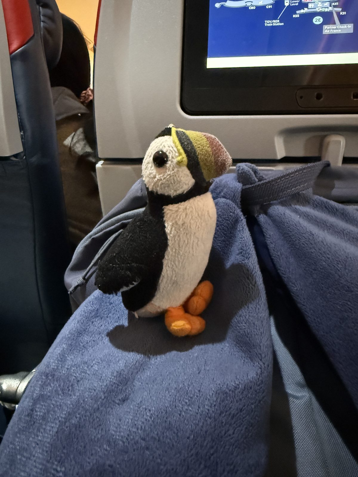 Our travel companion puffin riding along on the flight to Paris.